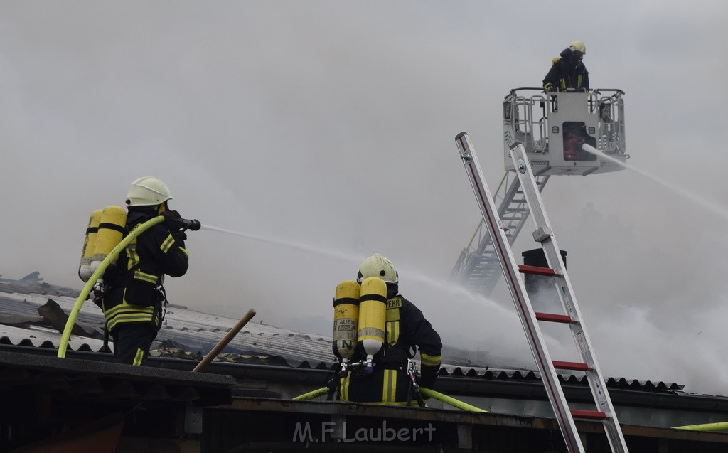 Feuer 3 Koeln Zollstock Hoenninger Weg P136.JPG - Miklos Laubert